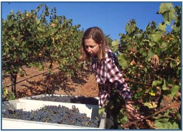 Ladera's Winemaker